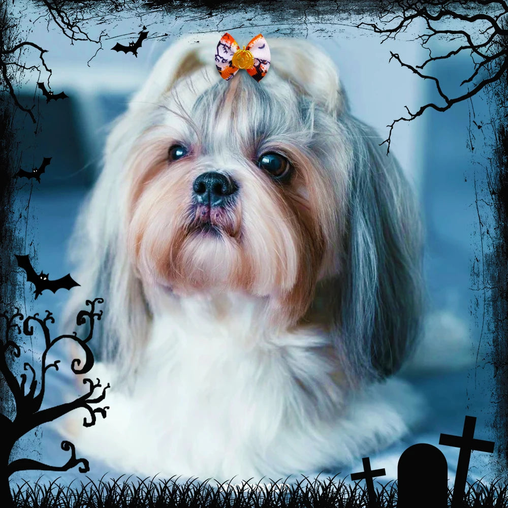 S236a3f532c9948e0b58bf00a7b2bef22j