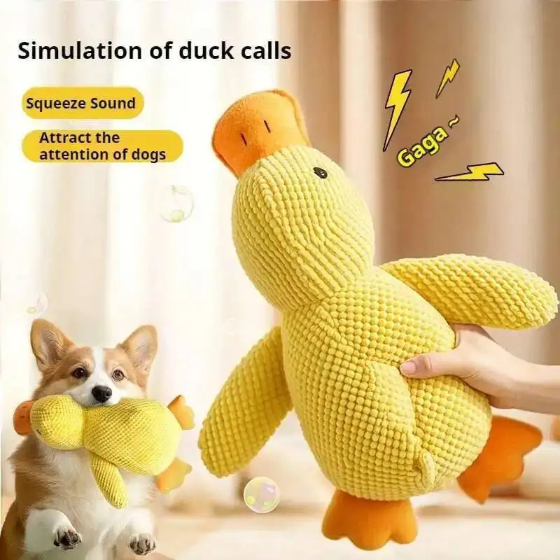 S9054ac803ec0464f998ae313bd64bb34m