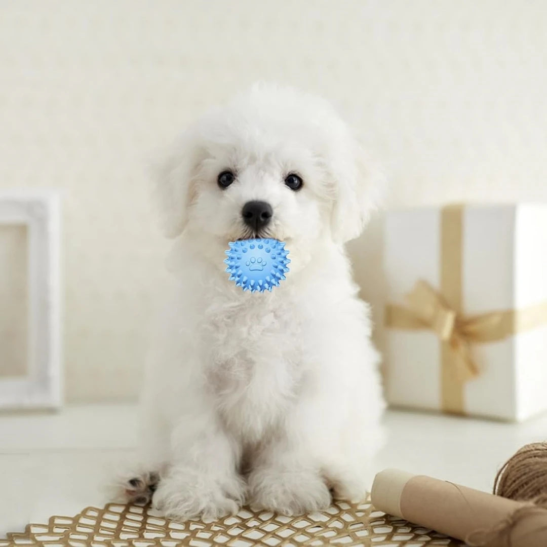 Seb10429443694aaf8ab335ae69c81975P